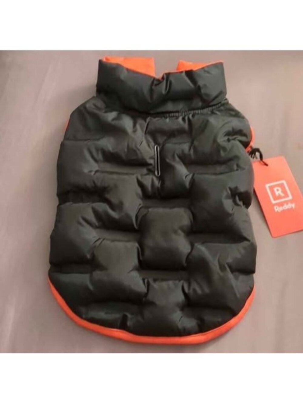 Reddy XS Black & Red Dog Puffer Jacket NEW